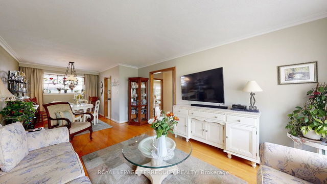 50 Storer Drive
