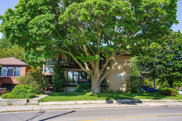 42 Ellis Avenue