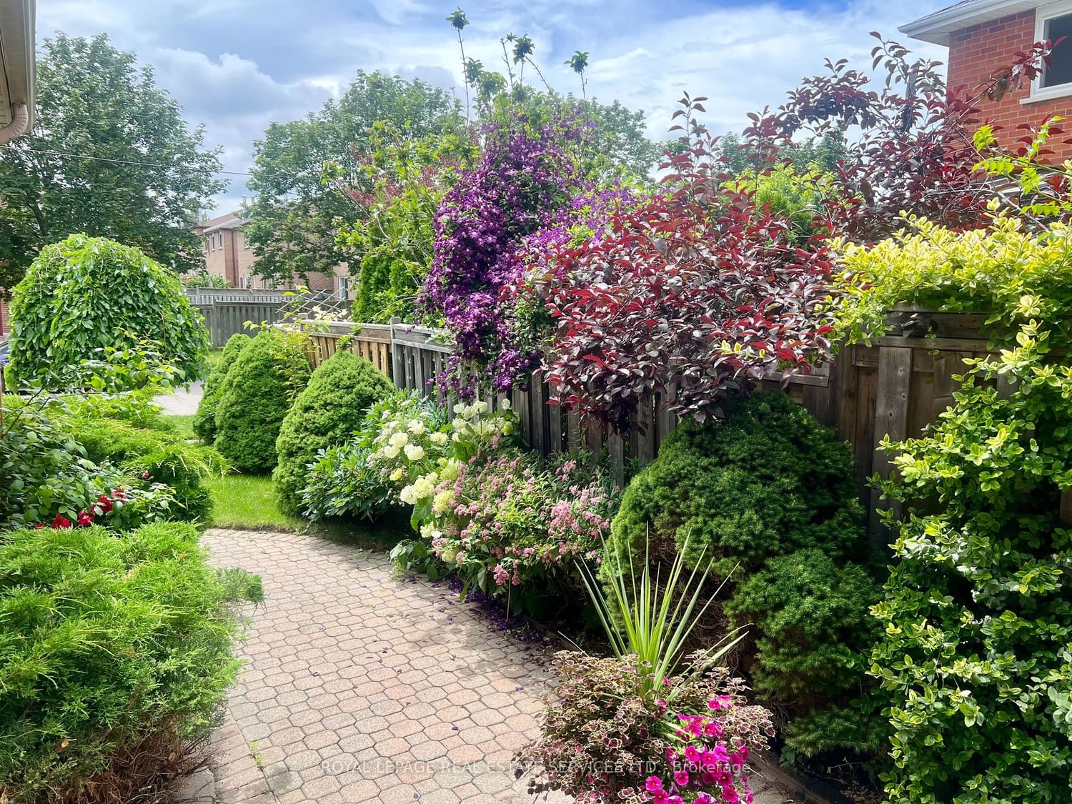 Listing Image 31