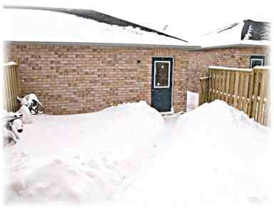 5974 Tenth Line W, Mississauga, L5M6S9 | Image 2