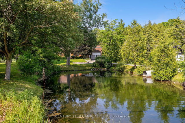 5535 Cedar Springs Road