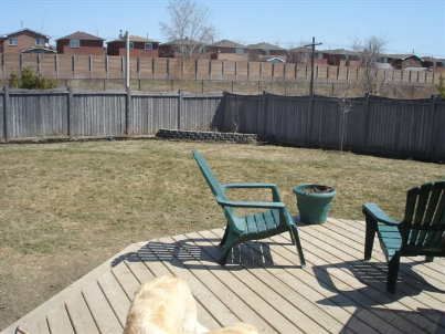 37 Richwood Cres, Brampton, L6X4K8 | Image 3