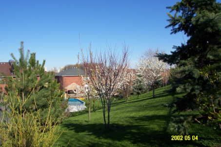 14 Large Crt, Brampton, L6S5V2 | Image 2