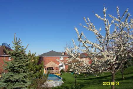 14 Large Crt, Brampton, L6S5V2 | Image 3