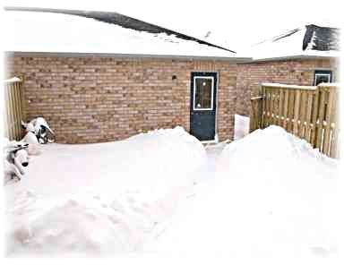 5974 Tenth Line W, Mississauga, L5M6S9 | Image 2