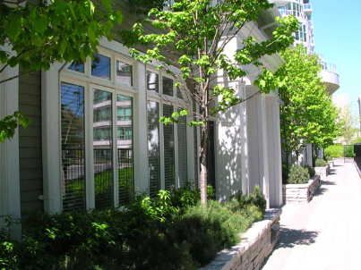 Th6 - 2067 Lake Shore Blvd W, Toronto, M8V2Z6 | Image 3