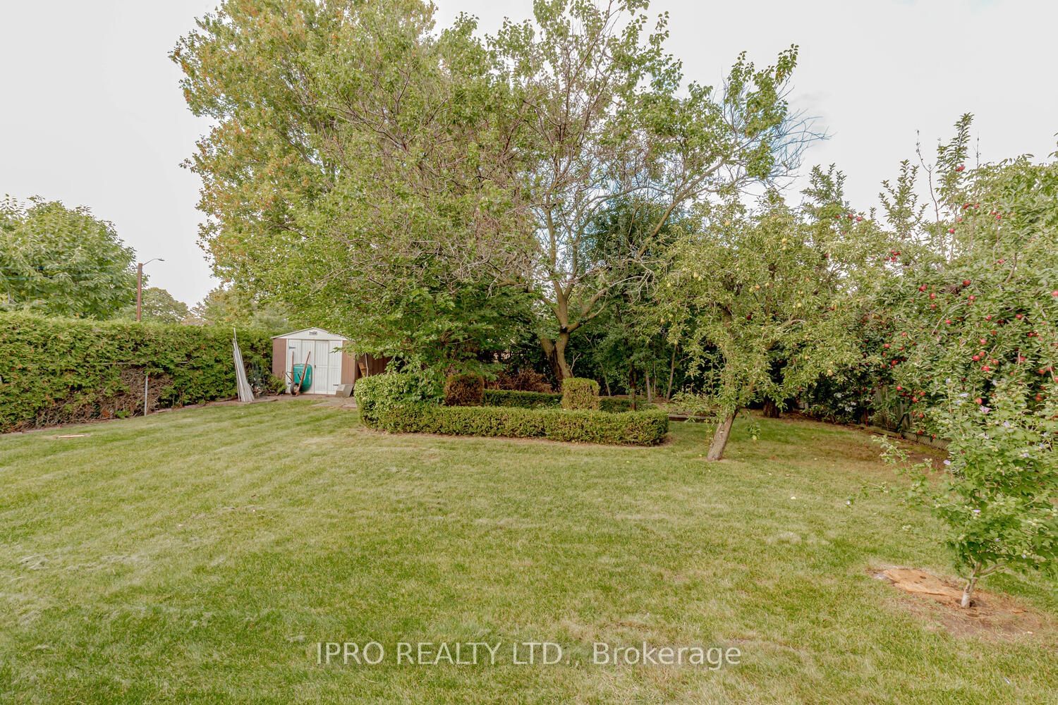 Listing Image 40