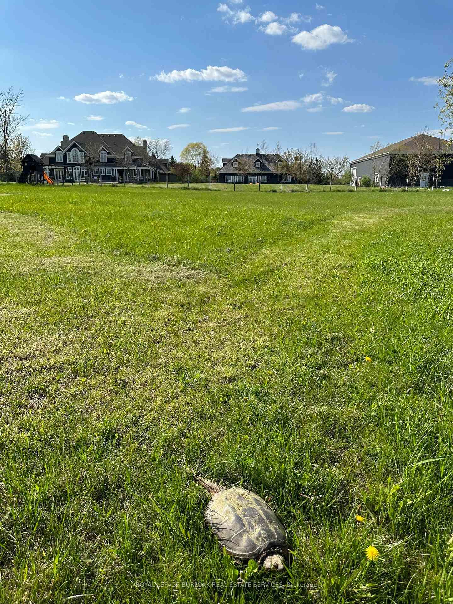 Listing Image 40