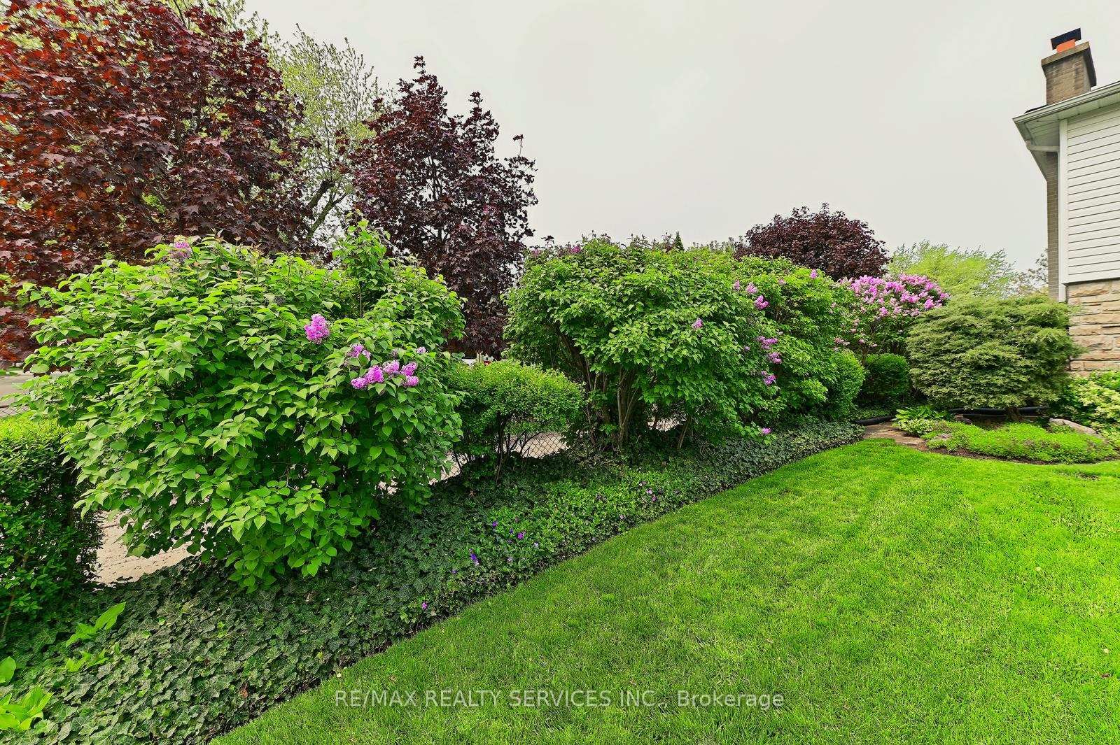 Listing Image 32