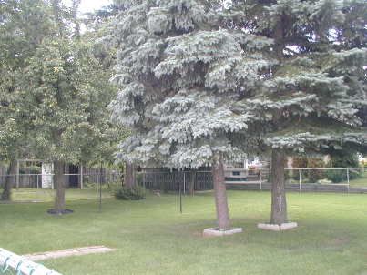 1392 Northmount Ave, Mississauga, L5E1Y5 | Image 3
