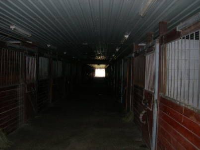 18095 Horseshoe Hill Rd, Caledon, L0N1Co | Image 3