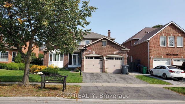 Basment - 44 Cox Crescent
