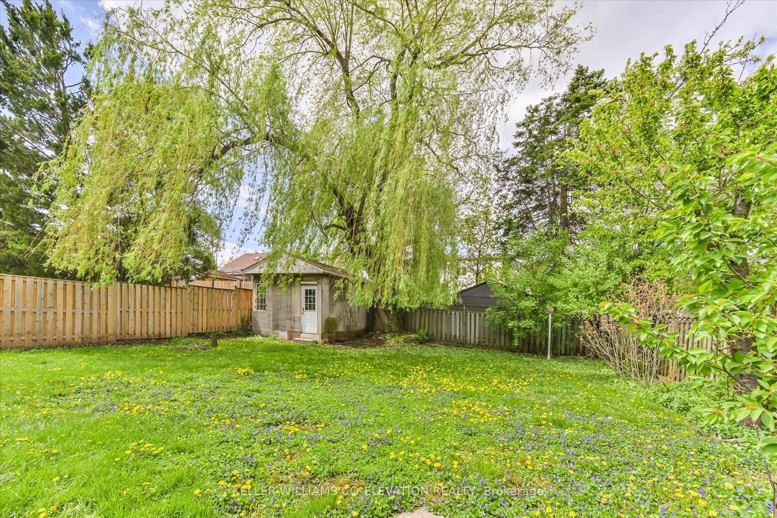 Listing Image 25