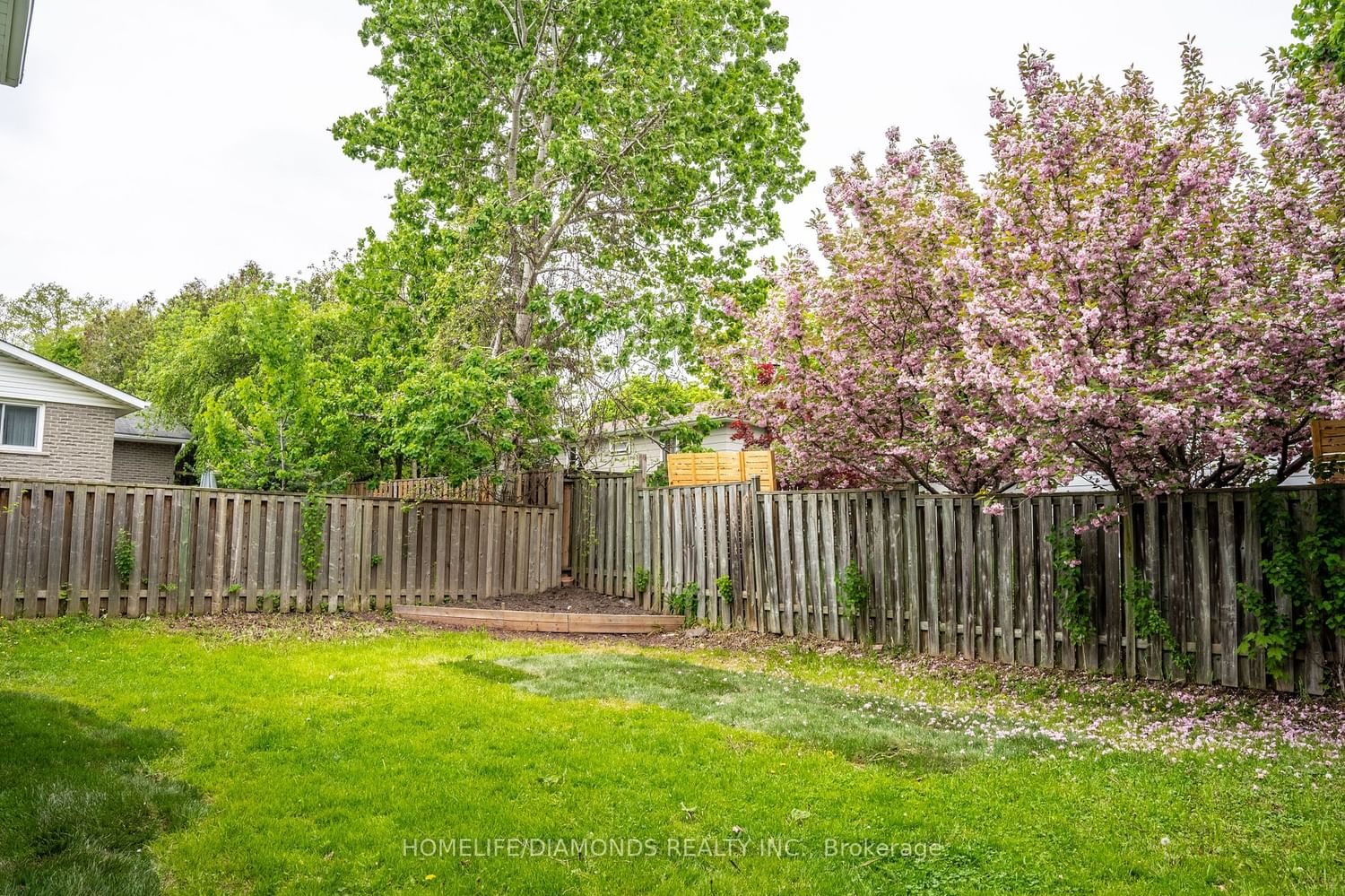 Listing Image 40