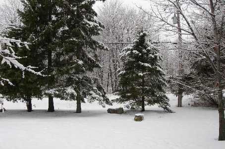 88 Walker Rd W, Caledon, L7C0G8 | Image 2