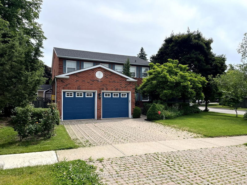 home for lease on Bsmt-8 Newport Street