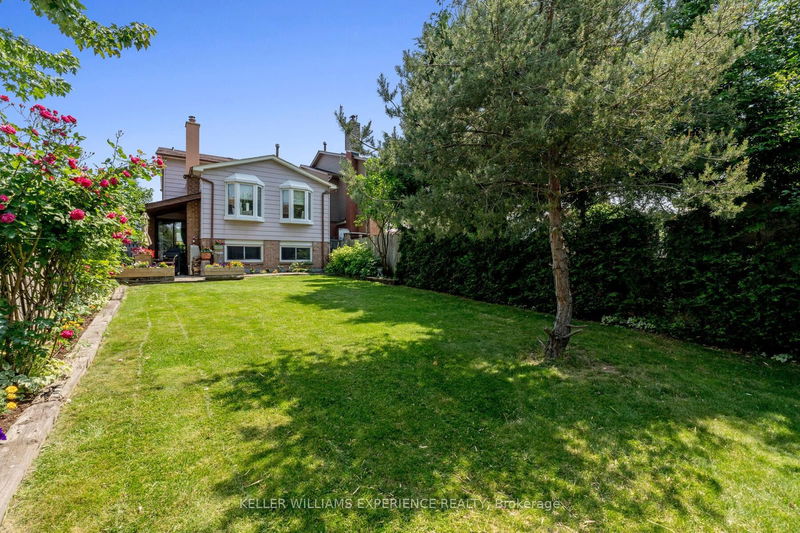 15 Thorson Gate  Brampton, L6V 3W8 | Image 31