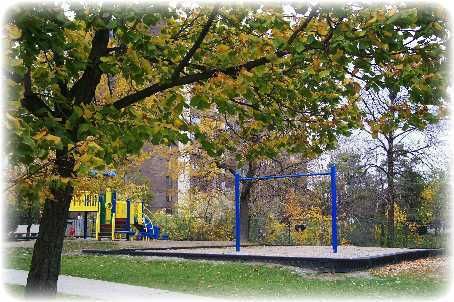 107 - 2556 Argyle Rd, Mississauga, L5B2H6 | Image 3