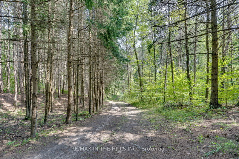 Lot 11 Escarpment Sdrd  Caledon, L7K 1E8 | Image 18