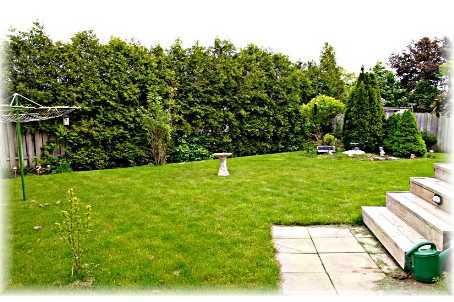 59 Abell Dr, Brampton, L6V2W1 | Image 3