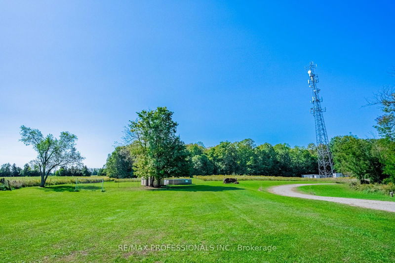 13908 Trafalgar Rd  Halton Hills, L7G 4S4 | Image 12