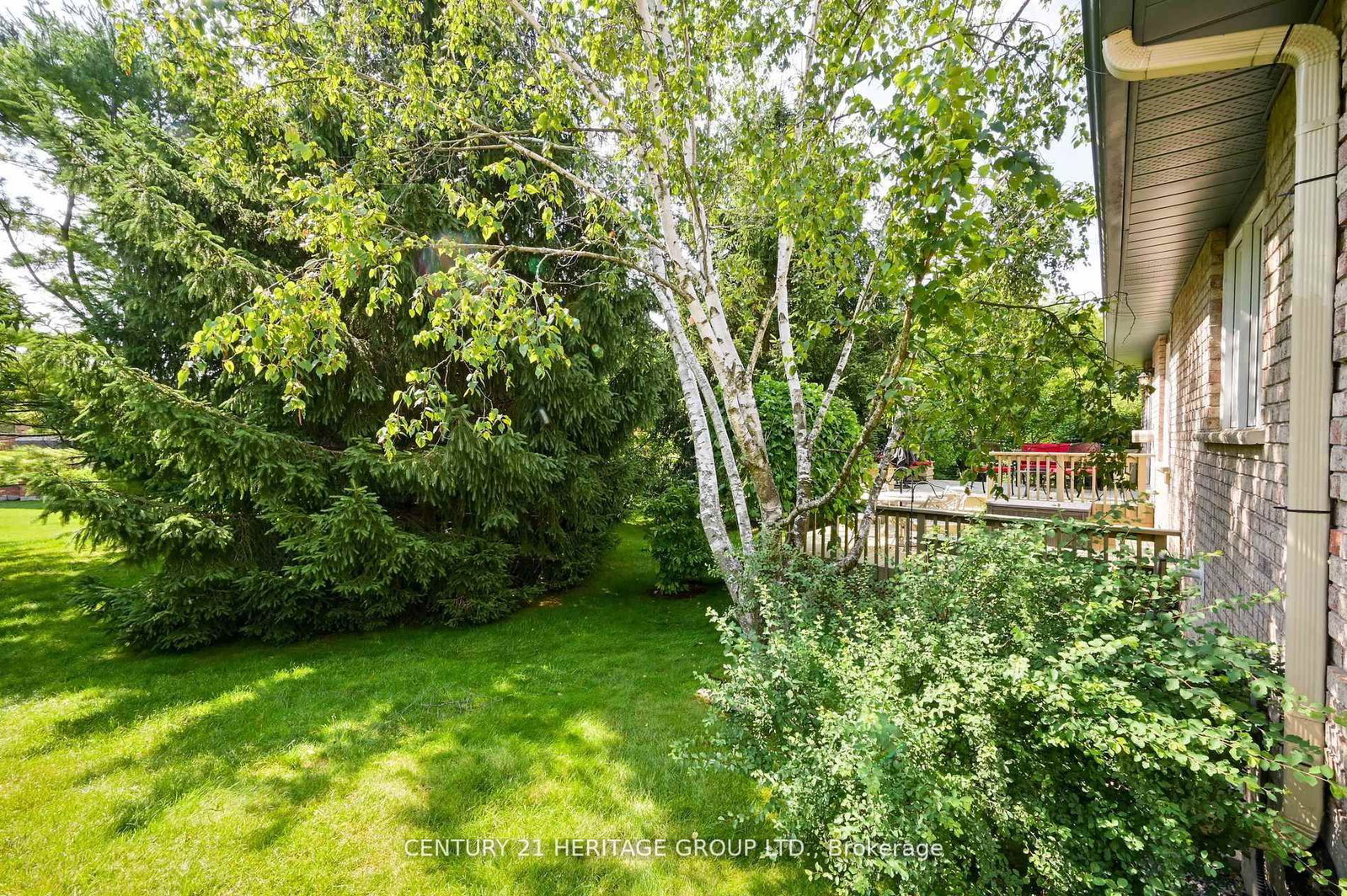 Listing Image 7