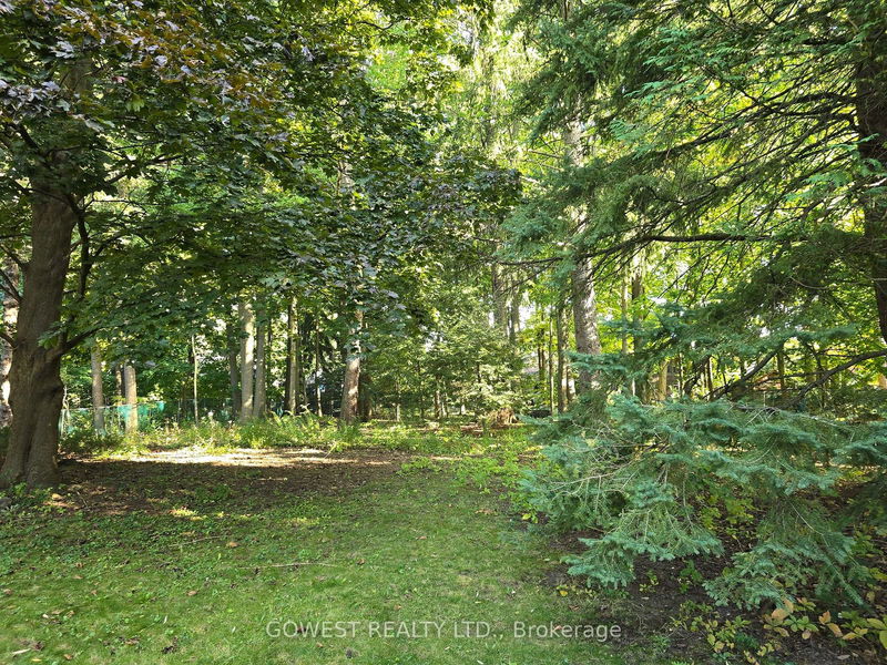 62 Pinewood Tr  Mississauga, L5G 2L1 | Image 5