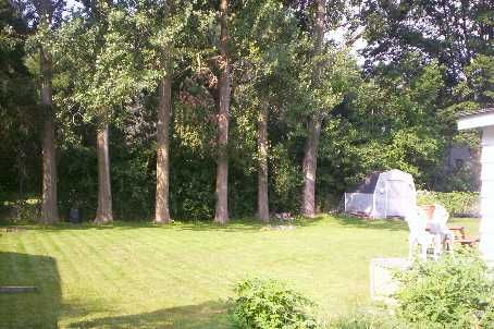 14 Erin St, Halton Hills, L7G3M6 | Image 3