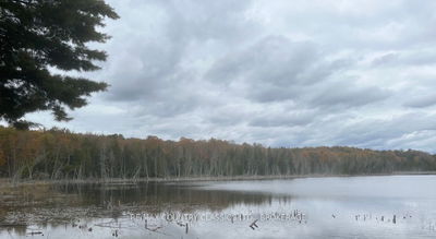  Bull Lake Rd, Central Frontenac - Frontenac Centre image-0-2