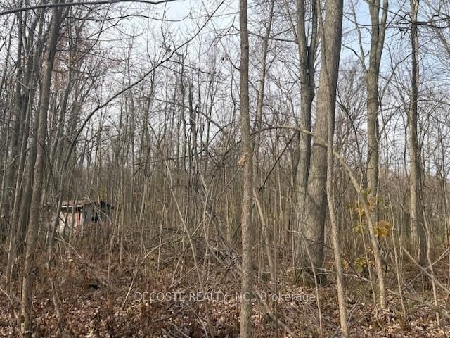 4942 COUNTY ROAD 34 Rd, South Glengarry, K0C 1L0 | Image 3