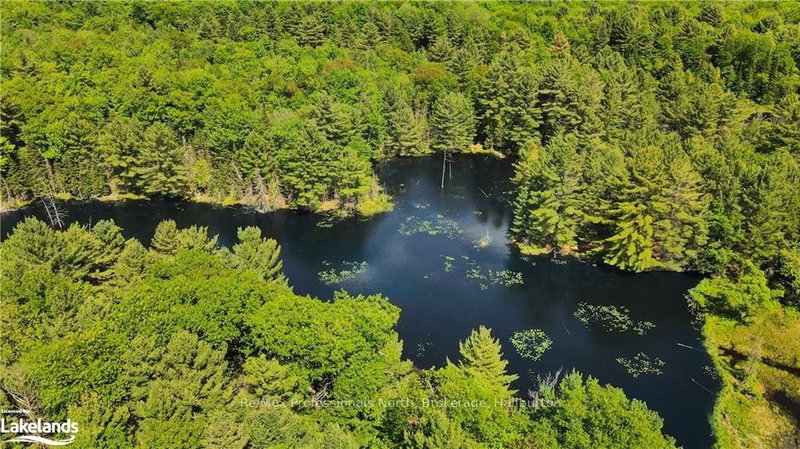 0 BOBCAYGEON Rd, Minden Hills, K0M 2K0 | Image 3