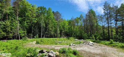 15 MADELINE St | Huntsville | Image