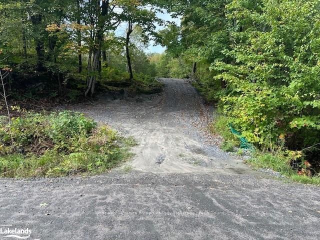 8 DIXON Rd, Seguin -  image-0-0