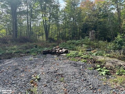 8 DIXON Rd, Seguin -  image-0-1