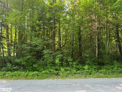  TWELVE MILE LAKE Rd, Minden Hills -  image-0-1