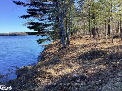 38 HAWKINS POINT Road — photo 4