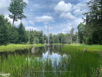 LT15 C2 River Rd, Parry Sound Remote Area - Laurier image-0-2