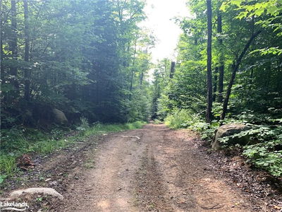 LT15 C2 River Rd, Parry Sound Remote Area - Laurier image-0-4