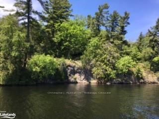 12 ISLAND 270 SIX MILE LAKE, Georgian Bay - Baxter image-0-2