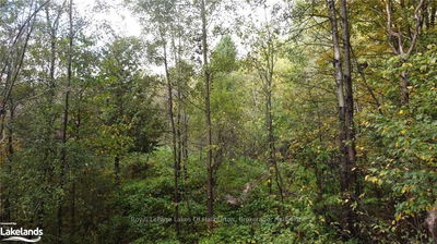 LOT 67 CHELSEA Lane, Algonquin Highlands -  image-0-2