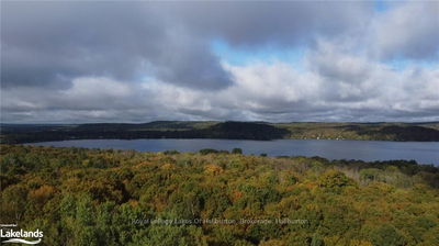 LOT 67 CHELSEA Lane, Algonquin Highlands -  image-0-3