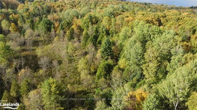 LOT 67 CHELSEA Lane, Algonquin Highlands -  image-0-4