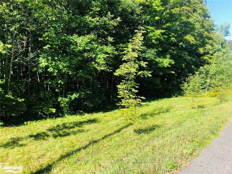 0 GLAMOR LAKE Rd, Highlands East, K0M 1R0 | Image 2