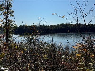 0-3 JACKS LAKE, Parry Sound Remote Area - Golden Valley