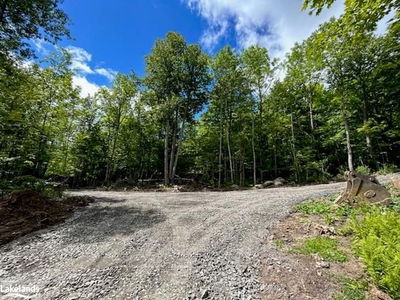 0-3 JACKS LAKE, Parry Sound Remote Area - Golden Valley image-0-1
