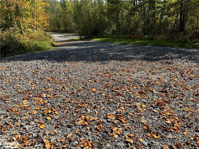 0-3 JACKS LAKE, Parry Sound Remote Area - Golden Valley image-0-2
