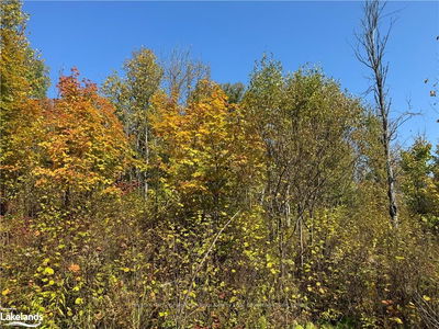 0-3 JACKS LAKE, Parry Sound Remote Area - Golden Valley image-0-3
