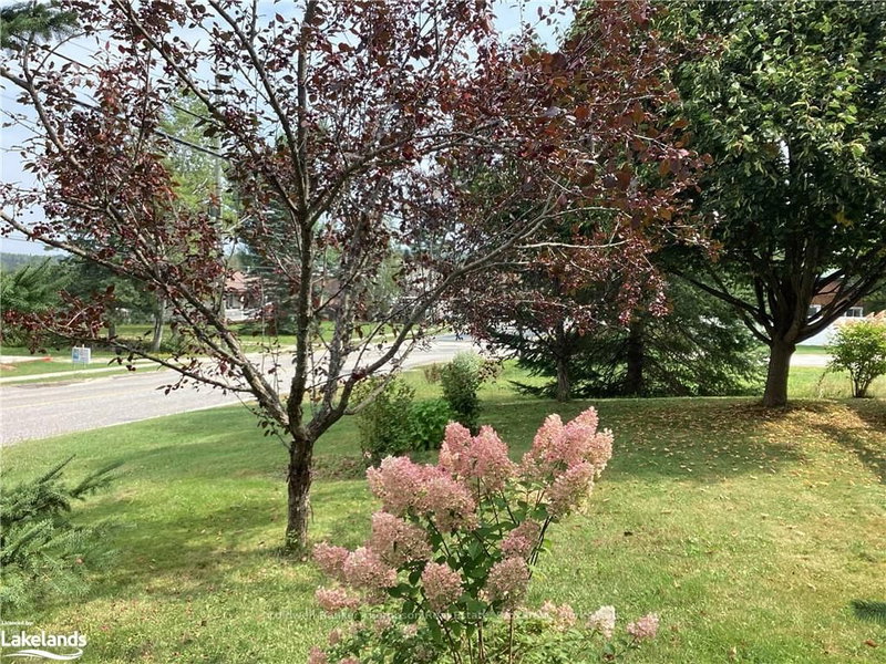 234 YONGE St, Burk's Falls, P0A 1C0 | Image 2