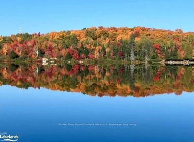 0-2 JACKS LAKE, Parry Sound Remote Area - Golden Valley image-0-1
