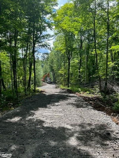 0-2 JACKS LAKE, Parry Sound Remote Area - Golden Valley image-0-3